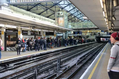 DSC_9118 (Large).JPG